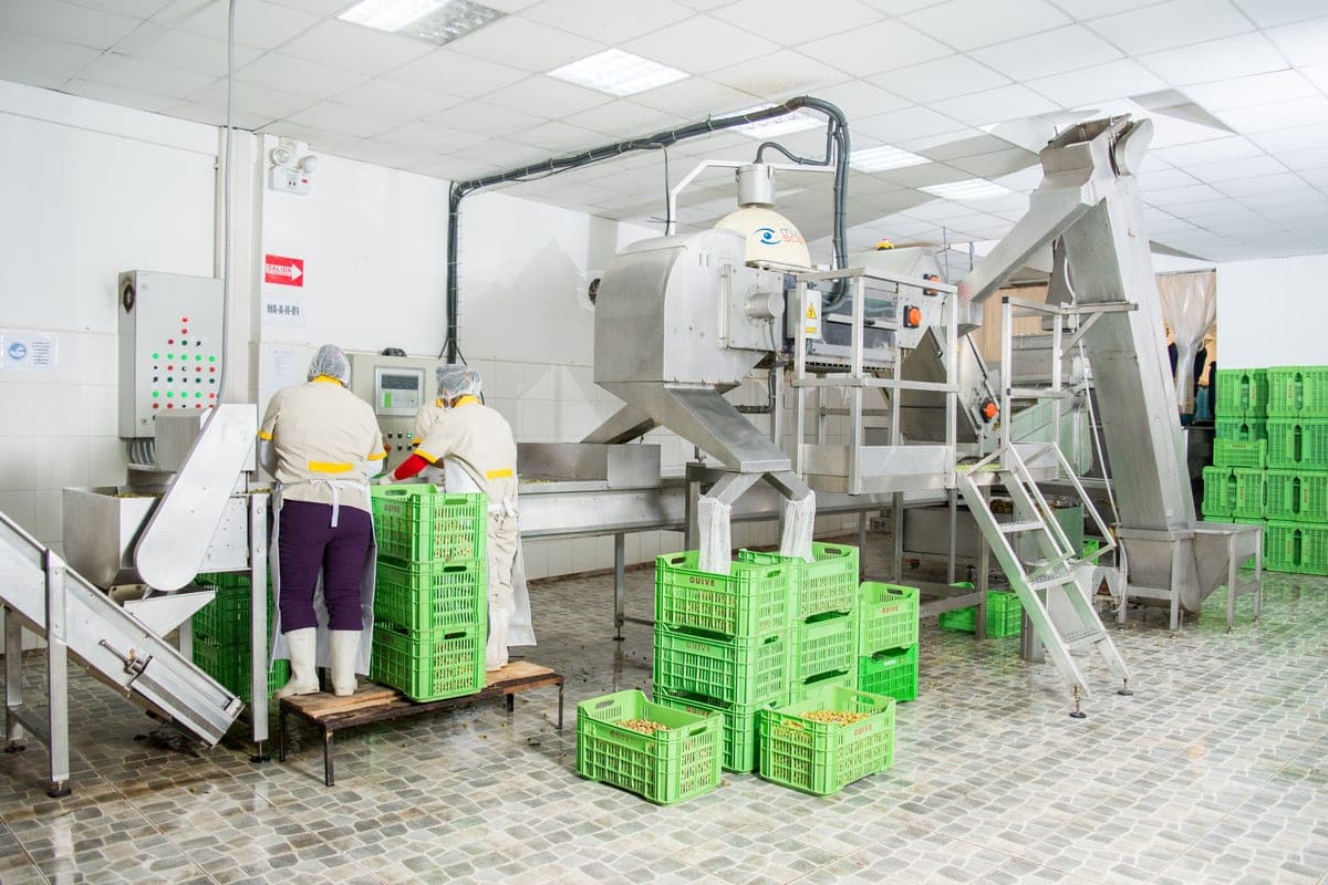 Área de envasado en la planta de Guive